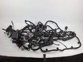 Other wiring loom