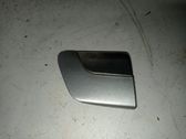 Fender trim (molding)