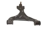 Front lower control arm/wishbone