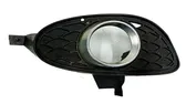 Front fog light trim/grill