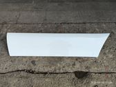 Front door trim (molding)