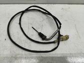 Abgastemperatursensor