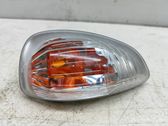 Mirror indicator light