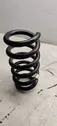 Rear coil spring