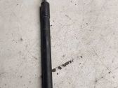 Front bonnet/hood damper/strut