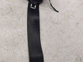 Rear seatbelt