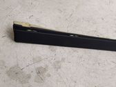 (C) pillar trim