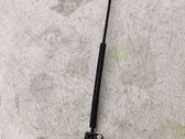 Rear door lock