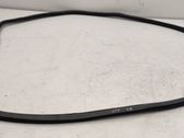 Rear door rubber seal (on body)