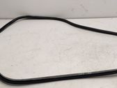 Rear door rubber seal (on body)