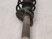 Front shock absorber/damper