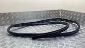 Front door rubber seal