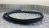 Front door rubber seal