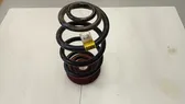 Rear coil spring