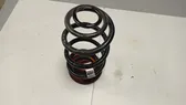 Rear coil spring