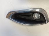 Front fog light trim/grill