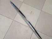 Tailgate/trunk/boot lid