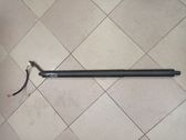 Tailgate/trunk/boot lift motor