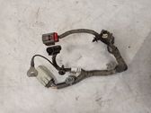Other wiring loom