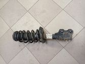 Front shock absorber with coil spring
