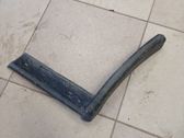 Fender trim (molding)