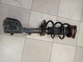 Front shock absorber with coil spring