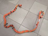 Other wiring loom
