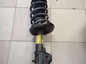 Front shock absorber with coil spring
