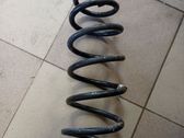 Front coil spring