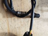 Sonde lambda