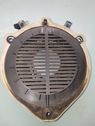 Rear door speaker