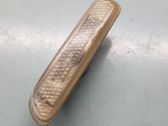 Front fender indicator light