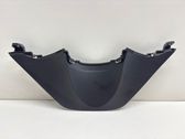 Dashboard trim