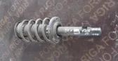 Front shock absorber with coil spring