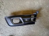 Front fog light trim/grill