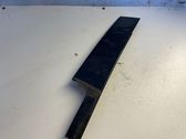 Rear door glass trim molding