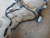 Other wiring loom