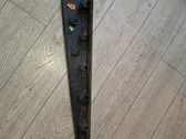 Listón embellecedor de la puerta delantera (moldura)