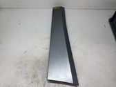 Rear door trim (molding)