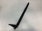 Tailgate/trunk strut/damper