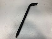 Tailgate/trunk strut/damper