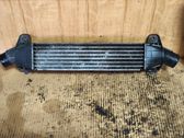 Intercooler radiator