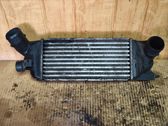 Intercooler radiator