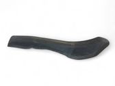 Rear/tail light trim molding