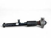 Rear shock absorber/damper