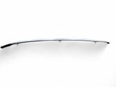 Roof bar rail