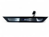 Front sill trim cover