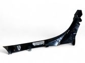 Other sill/pillar trim element