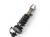 Front shock absorber with coil spring