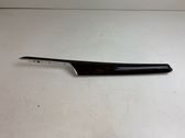 Other front door trim element